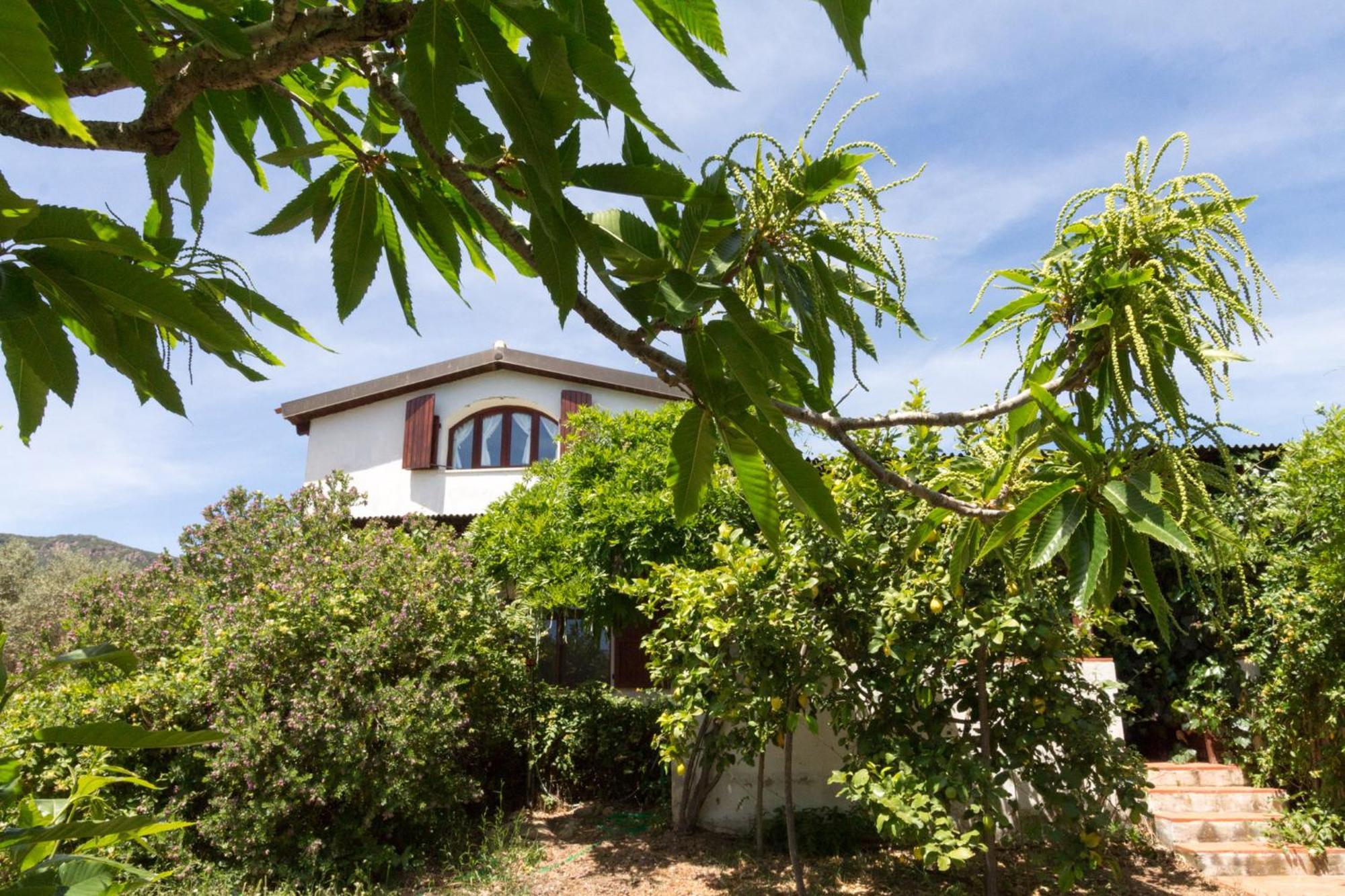 Ferienwohnung Abba Arrubia Camisa Exterior foto