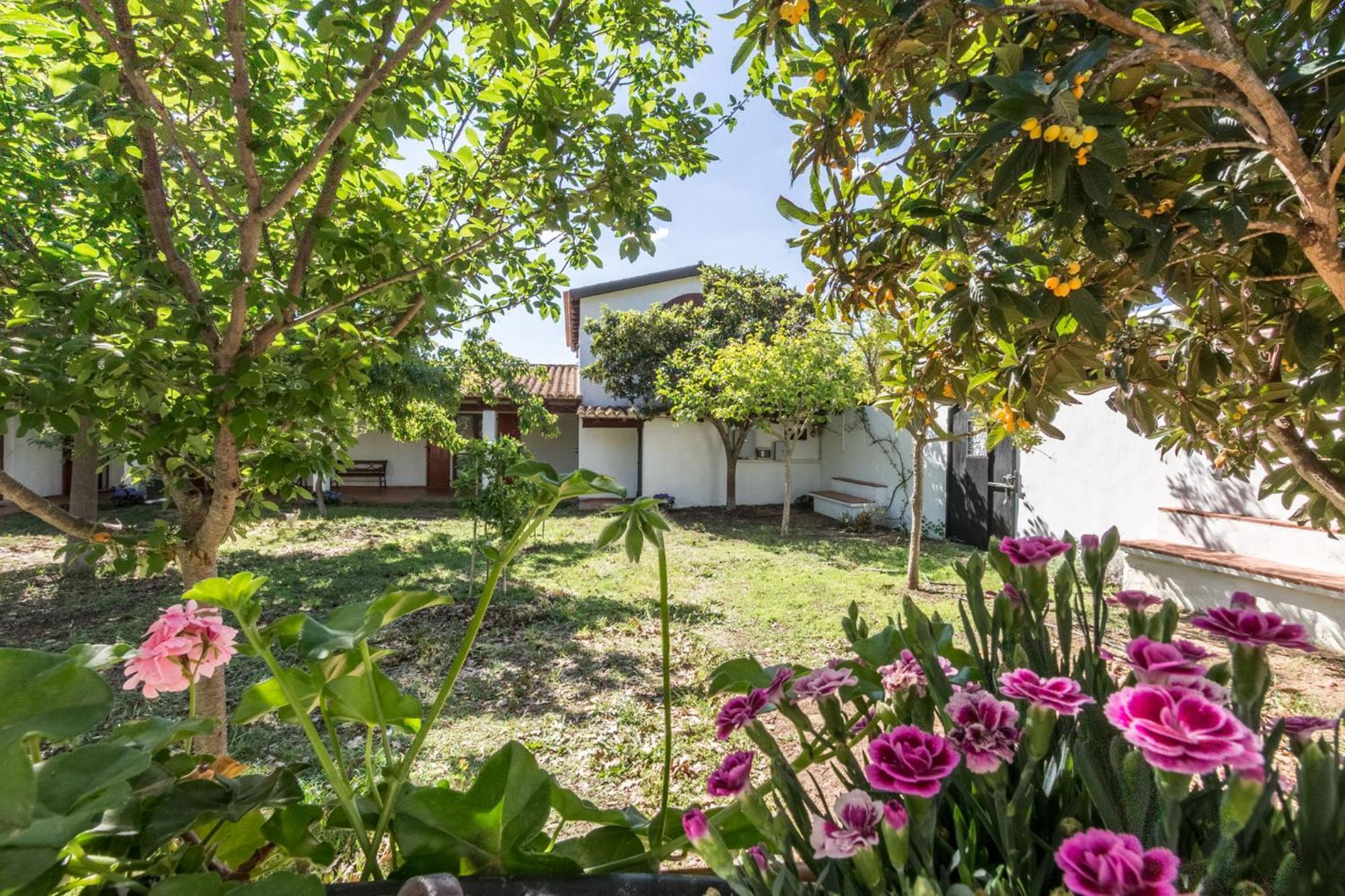 Ferienwohnung Abba Arrubia Camisa Exterior foto