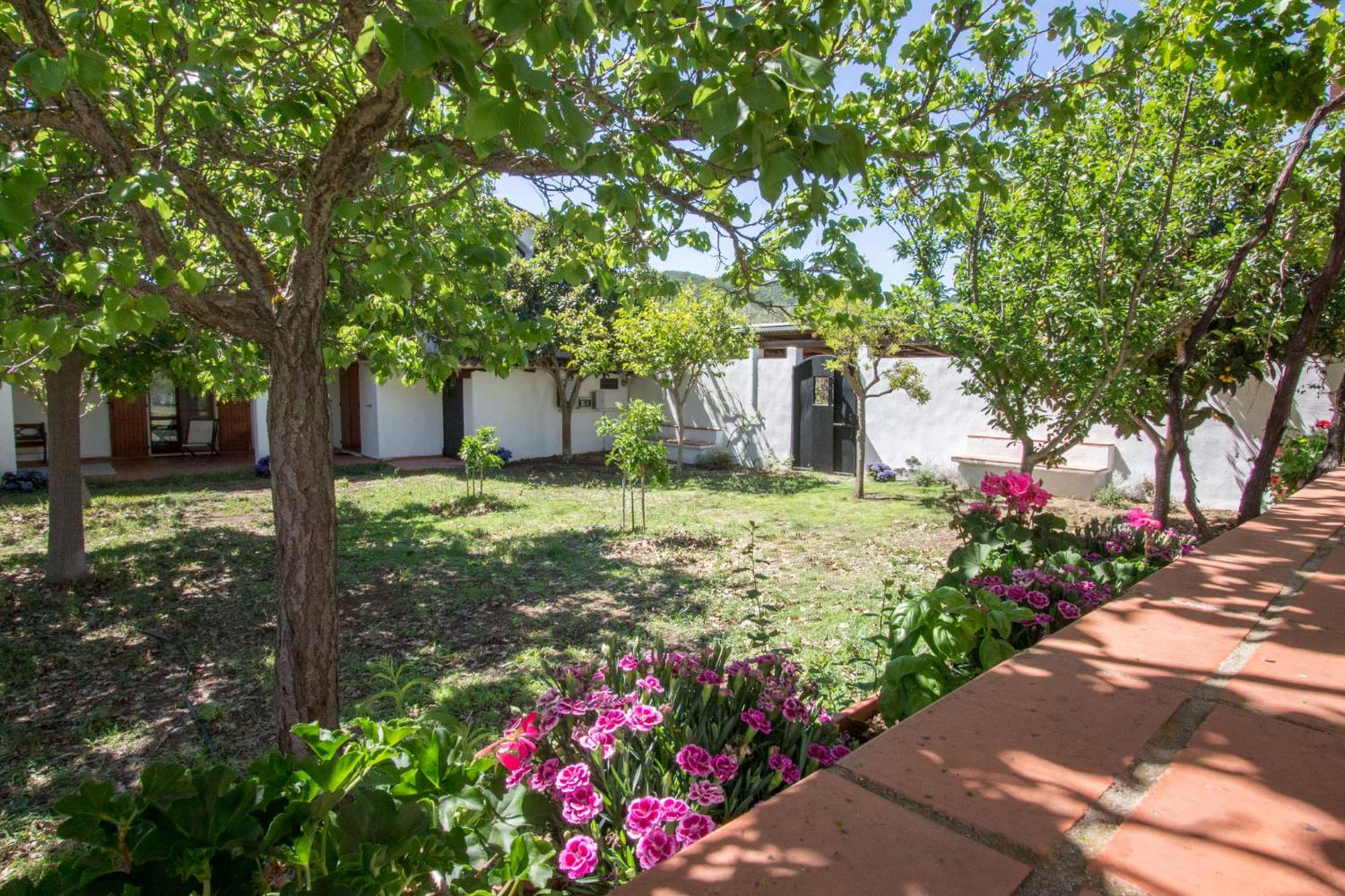 Ferienwohnung Abba Arrubia Camisa Exterior foto